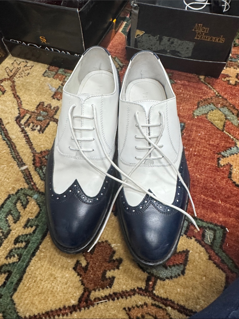 Paul Frederick Men's Two-Tone Blue and White Wingtip Dress Shoes